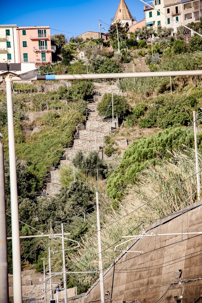 CORNIGLIA%20poze%20de%20lucru/corniglia%20stairs.jpg