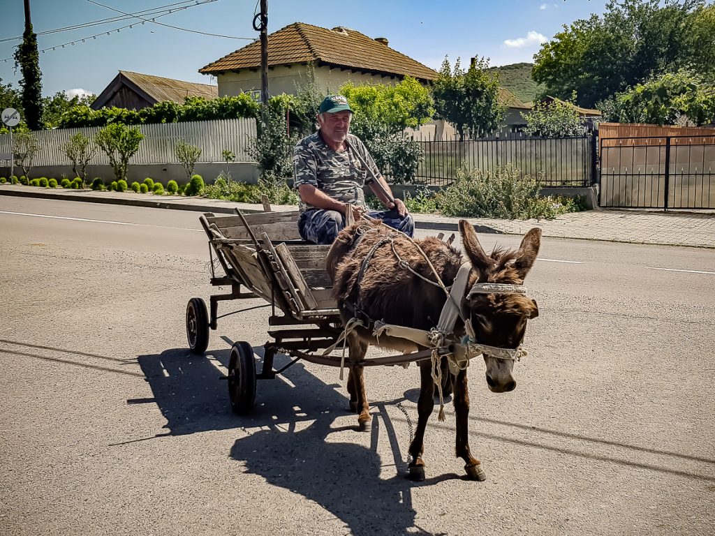 ../delta%20editate%20de%20lucru/magar%20la%20caruta.jpg