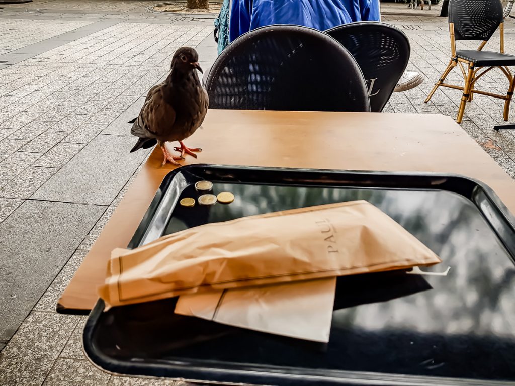 ../paris/champs%20elysees/breakfast%20in%20paris.jpg