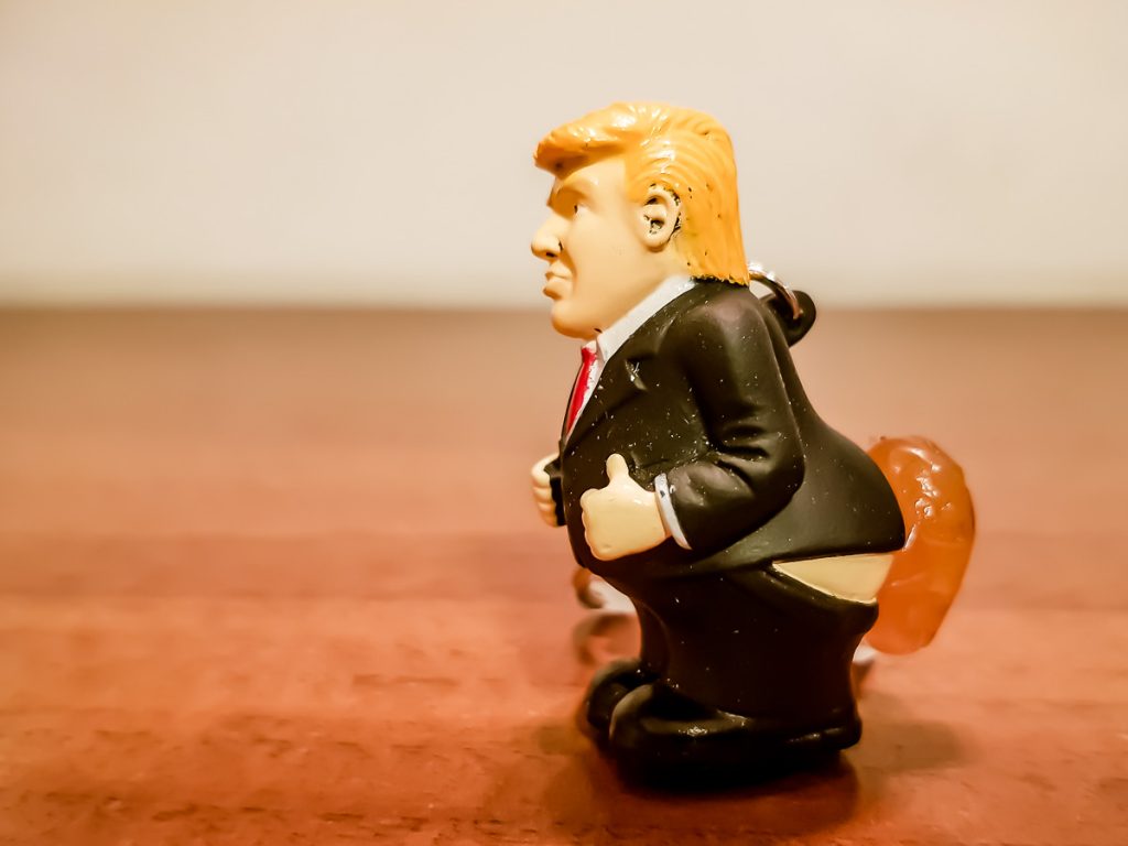 ../trump/20201013_011221.jpg